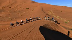 Hàng triệu trẻ em ở Nam sa mạc Sahara phải di dời nơi ở do thời tiết khắc nghiệt