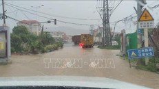 Bão Haikui gây thiệt hại ở Đông Nam Trung Quốc