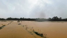 Hơn 4.300 học sinh tại Hà Tĩnh nghỉ học do mưa lũ