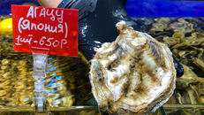 Hàu Nhật Bản được bày bán tại một chợ hải sản ở Moscow, Nga. Ảnh: AFP