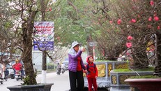 Đề xuất nghỉ Tết Nguyên đán 2024 từ 29/12 tháng Chạp