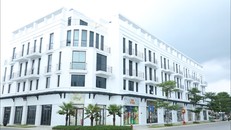 Artwork tạo nên góc nhìn tươi mới cho từng con phố tại Vlasta – Sầm Sơn. Nguồn: Vlasta – Sầm Sơn