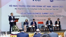 Phó Thủ tướng Trần Lưu Quang phát biểu tại hội nghị. Ảnh: TTXVN