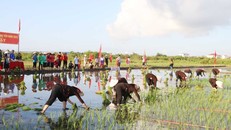 Quảng Ninh có thêm 5 Di sản văn hóa phi vật thể Quốc gia