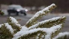 Người dân Đức được khuyến cáo ở nhà do thời tiết lạnh giá