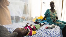 LHQ: Thêm hàng nghìn ca nghi mắc bệnh tả tại Sudan