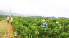 Lấy tiêu chí "nông dân hạnh phúc" để xây dựng nông thôn mới kiểu mẫu