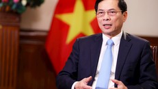 Bộ trưởng Bùi Thanh Sơn: Phát huy bản sắc ngoại giao "cây tre Việt Nam”