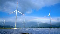 Đan Mạch sẵn sàng hỗ trợ Việt Nam trong quá trình chuyển đổi xanh