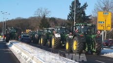 Đức: Đình công làm ảnh hưởng giao thông công cộng