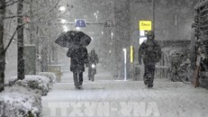 Tuyết rơi ảnh hưởng nghiêm trọng đến hệ thống giao thông tại Tokyo
