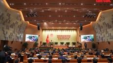 Phát huy tinh thần giám sát hiệu quả, quyết sách kịp thời