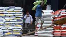 Giá gạo Ấn Độ tăng cao do tác động thuế