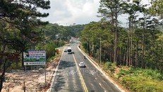 Kết luận của Thường trực Chính phủ về Quy hoạch vùng Tây Nguyên