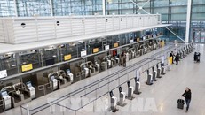 Đức nguy cơ thiếu hụt hơn 660.000 lao động lành nghề trong lĩnh vực công nghệ thông tin