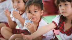 Thương hiệu TH có nhiều sản phẩm xứng danh “Chuyên gia dinh dưỡng” trong ngành sữa và thực phẩm