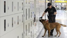 Cảnh sát Hàn Quốc truy tìm kẻ gửi thư dọa đánh bom các địa điểm công cộng