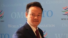 Đại sứ Mai Phan Dũng: Việt Nam mong muốn đóng góp nhiều hơn vào thúc đẩy hòa bình