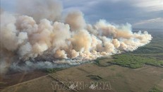 Canada: Thành phố Fort McMurray dỡ bỏ lệnh sơ tán cháy rừng
