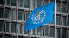 WHO chật vật tìm nguồn hỗ trợ ứng phó khẩn cấp