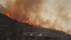 Hơn 52.000 người tử vong trong thập kỷ qua do ô nhiễm từ cháy rừng ở California