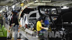 Công ty con của Toyota vi phạm luật chống độc quyền