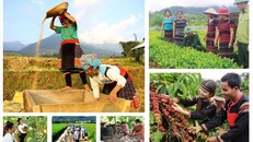 Đẩy nhanh tiến độ tổ chức triển khai thực hiện các chương trình mục tiêu quốc gia