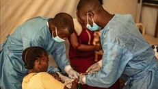 Báo động về dịch bệnh đậu mùa khỉ ở châu Phi