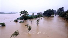 Cảnh báo lừa đảo, thông tin sai sự thật về bão lũ