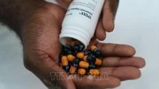 Mỹ phát hiện nhóm các ca mắc bệnh đậu mùa khỉ kháng thuốc