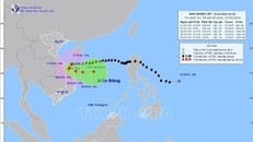 Bão số 6 trên vùng biển Quảng Trị đến Quảng Nam với sức gió mạnh cấp 9-10, giật cấp 12