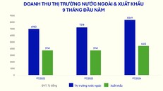 Doanh thu 9 tháng đầu năm từ hoạt động xuất khẩu nói riêng và thị trường nước ngoài (gồm các chi nhánh nước ngoài) của Vinamilk các năm 2022-2024