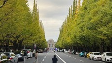 Mùa lá vàng, lá đỏ của Nhật Bản lập kỷ lục mới về thời gian đến muộn