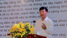 Việt Nam-Nhật Bản chia sẻ kinh nghiệm, giải pháp giảm thiểu rủi ro thiên tai