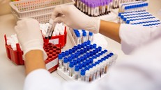 Thúc đẩy tiến bộ và hội nhập quốc tế ngành Huyết học – Truyền máu Việt Nam