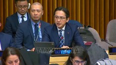 Việt Nam cam kết mạnh mẽ đóng góp vào nỗ lực cứu trợ nhân đạo của LHQ