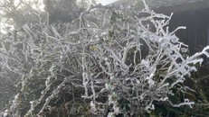 Băng giá xuất hiện tại nhiều vùng núi cao Lào Cai