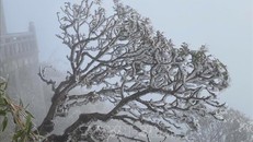 Bắc Bộ rét đậm, vùng núi cao có khả năng xảy ra băng giá, sương muối