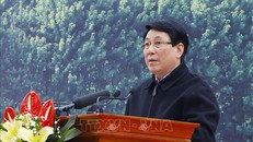 Chủ tịch nước Lương Cường: Mỗi cây xanh được trồng là một món quà vô giá cho thế hệ mai sau