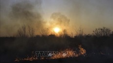 Chính phủ Argentina thành lập Cơ quan Khẩn cấp Liên bang để chống cháy rừng