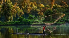 Tái khởi động các cuộc đàm phán toàn cầu về bảo vệ thiên nhiên