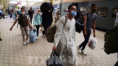 Dịch bệnh diễn biến phức tạp tại châu Phi