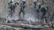 Hàn Quốc: Cháy rừng bùng phát trở lại trong đêm