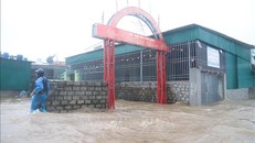 Bão số 5 gây thương vong và nhiều thiệt hại tại các địa phương