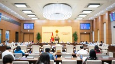 Toàn cảnh phiên họp 