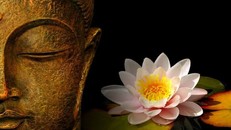 Khổ vui bắt đầu từ các căn
