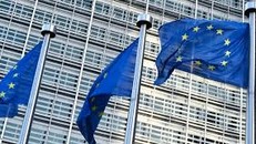 EU cảnh báo bạo lực gia tăng nhằm vào giới chính trị gia