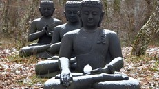 Vun bồi hạt giống chánh niệm