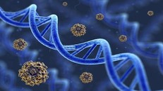 Tìm ra giải pháp tối ưu hóa thuốc điều trị ung thư vú Tamoxifen