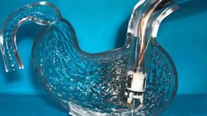 Phát triển máy in sinh học siêu nhỏ có thể chữa lành loét dạ dày